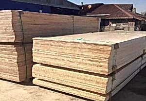 Karaoglulari Masif Panel Üretimi